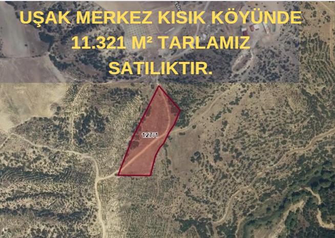 UŞAK MERKEZ KISIK KÖYÜNDE 11.321 M² TARLAMIZ SATILIKTIR. - UŞAK MERKEZ fotoğraf 3